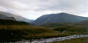 mist on the tops